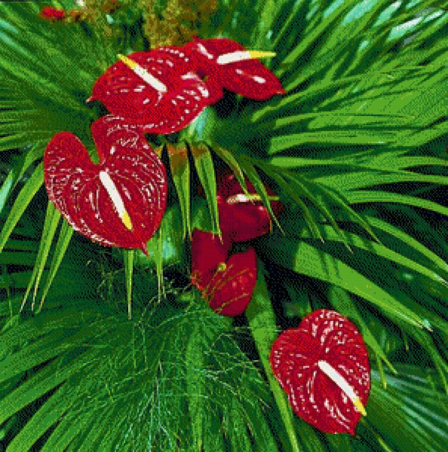 серия "подушки" - подушка.цветы. - предпросмотр