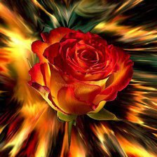 Схема вышивки «серия "подушки"»