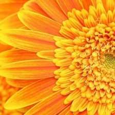 Схема вышивки «№606918»