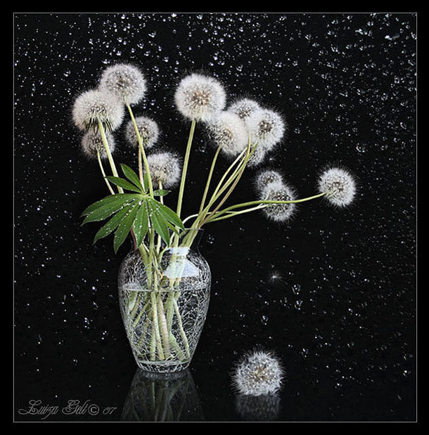 №606922 - оригинал