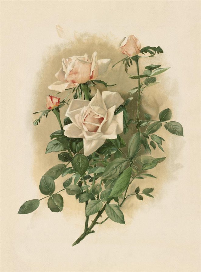 Из цикла Розы... - оригинал