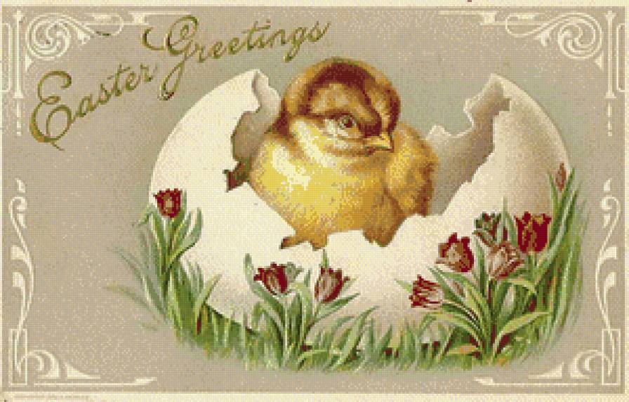 Новая жизнь. - предпросмотр