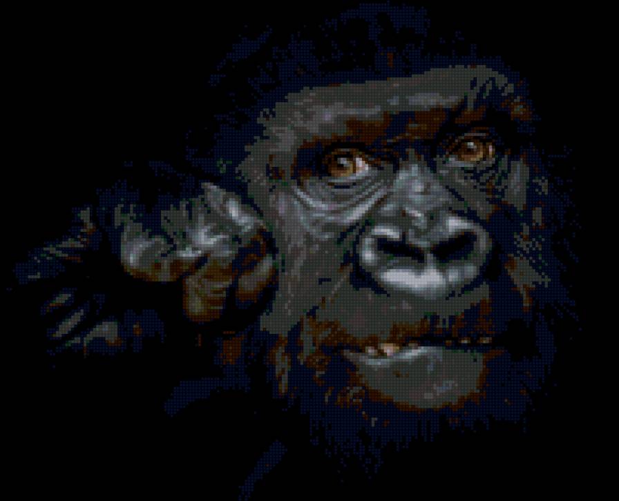 взгляд - черно белое, забавные животные, животные - предпросмотр