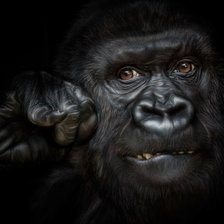 Схема вышивки «взгляд»