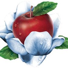 Схема вышивки «яблочко»