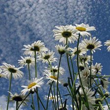 Схема вышивки «в небо»