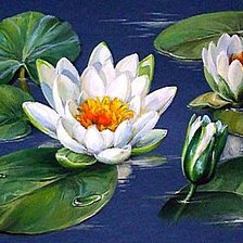 Схема вышивки «Кувшинки»