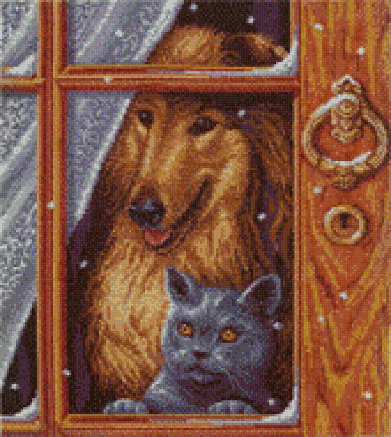 druzja - предпросмотр