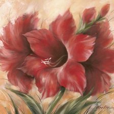 Красные цветы