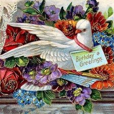 Схема вышивки «голубка»