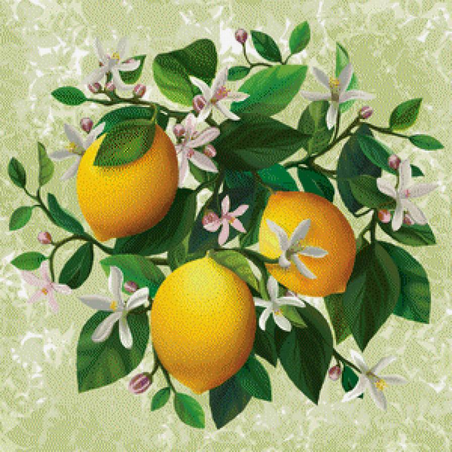 лимоны - предпросмотр