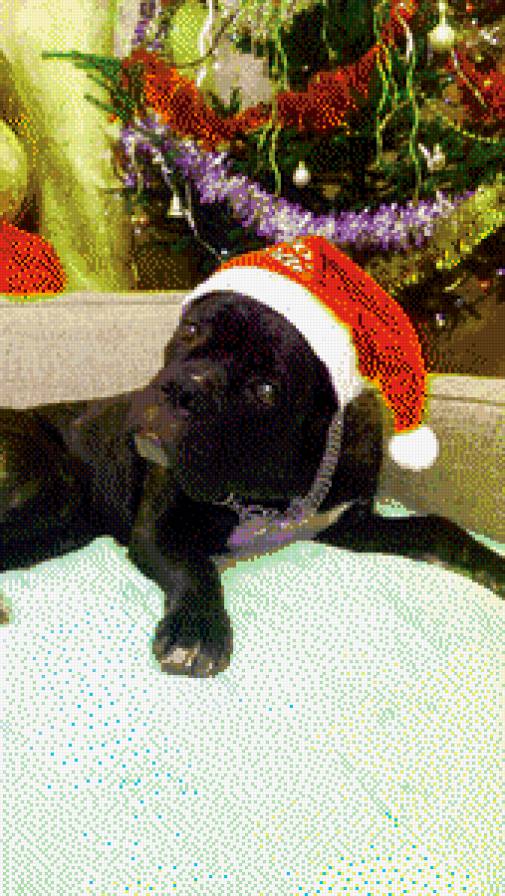 ап - предпросмотр