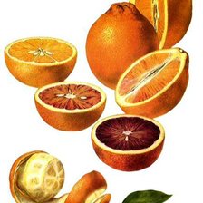 Схема вышивки «Вкусняшечки.»