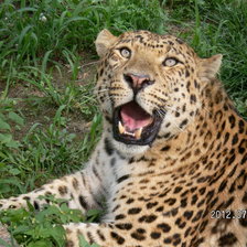 Схема вышивки «№607808»