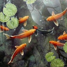 Схема вышивки «9 рыбок кои»