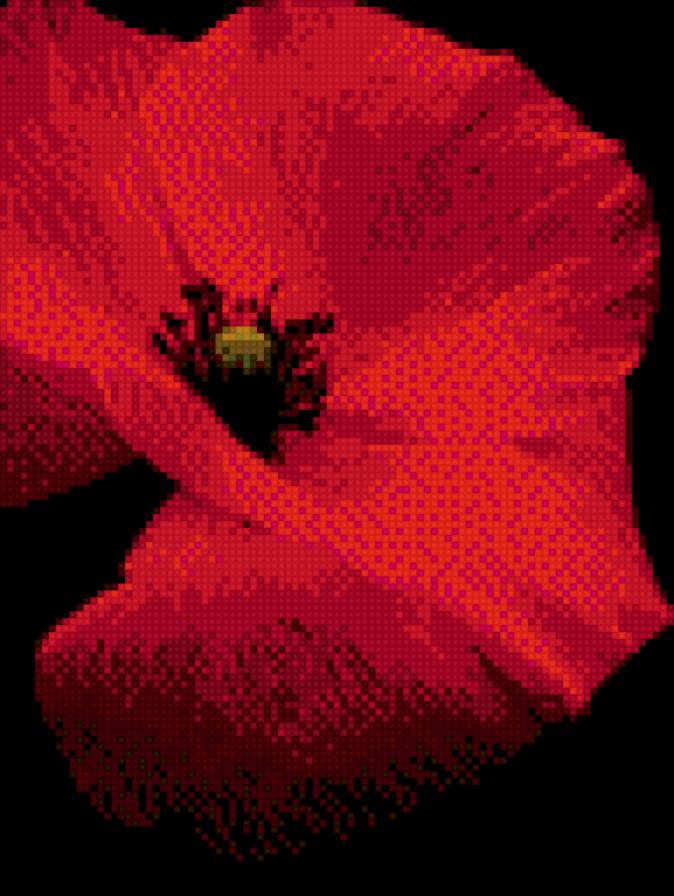 мак - предпросмотр