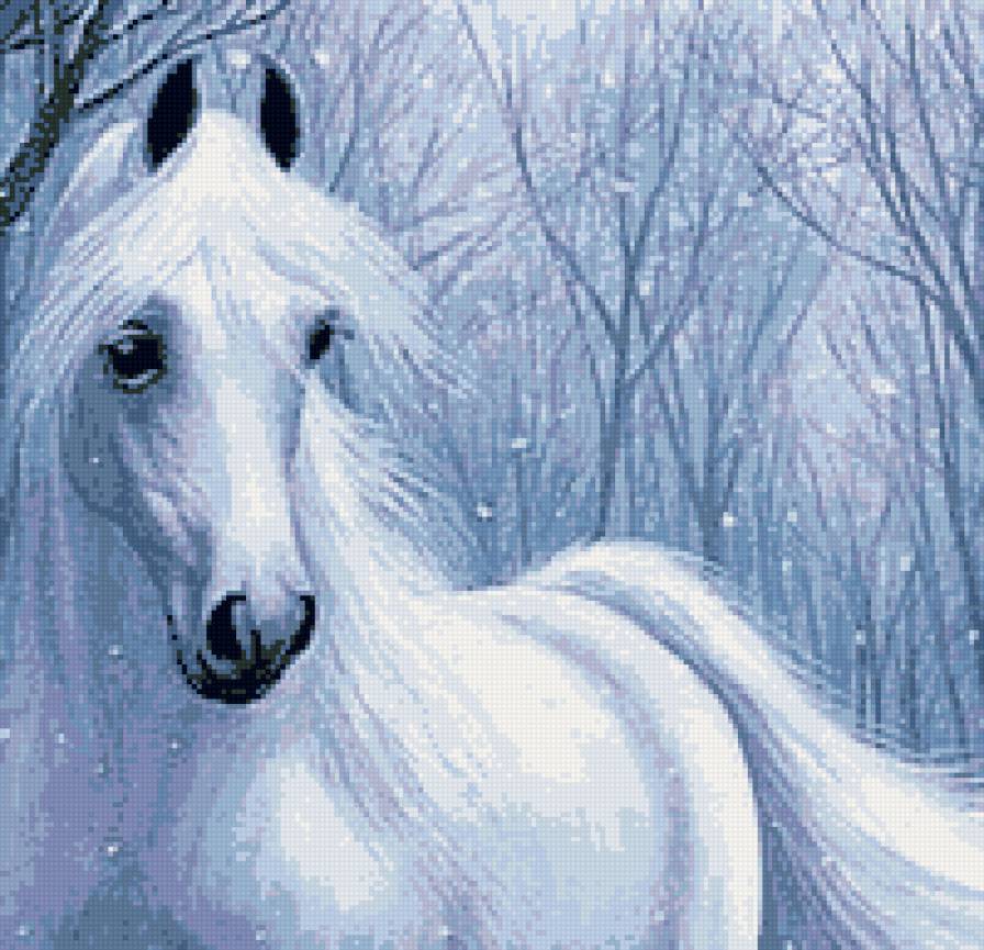 снежок - лошади, природа, зима, животные - предпросмотр