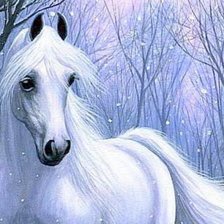 Схема вышивки «снежок»