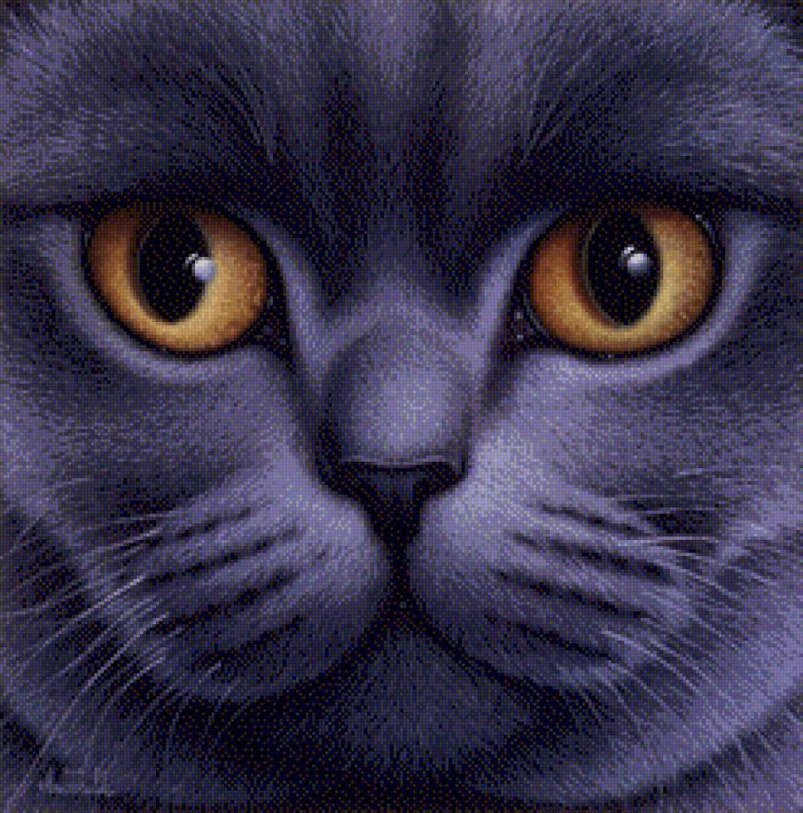 Глазастое чудо - предпросмотр