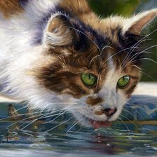 Схема вышивки «кот»