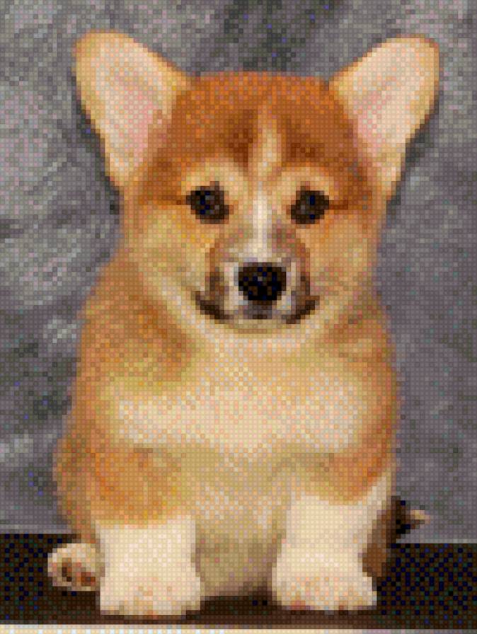 Щенок - предпросмотр