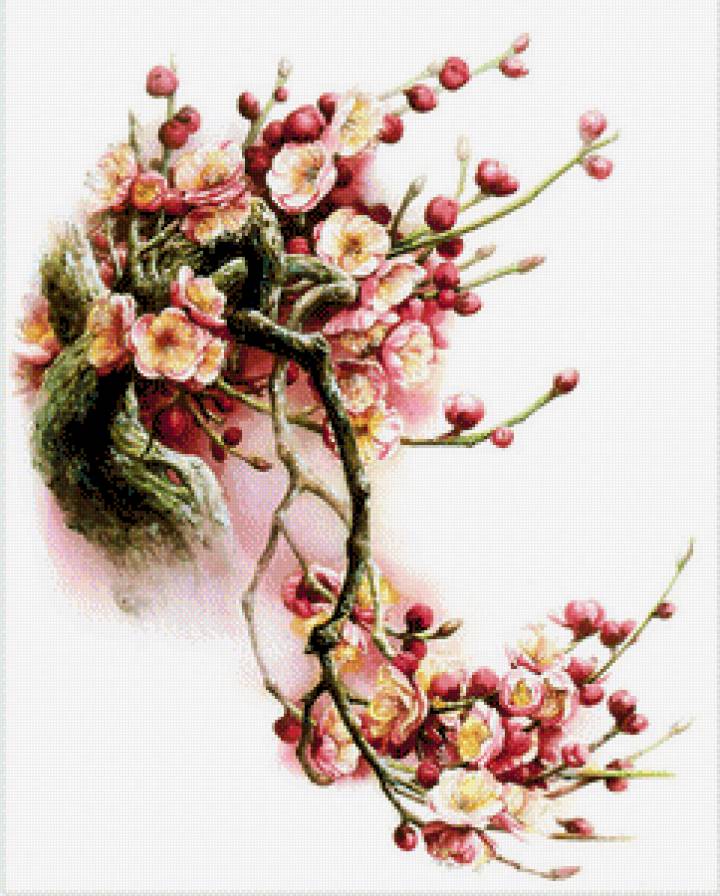 яблоневый цвет - цветы - предпросмотр