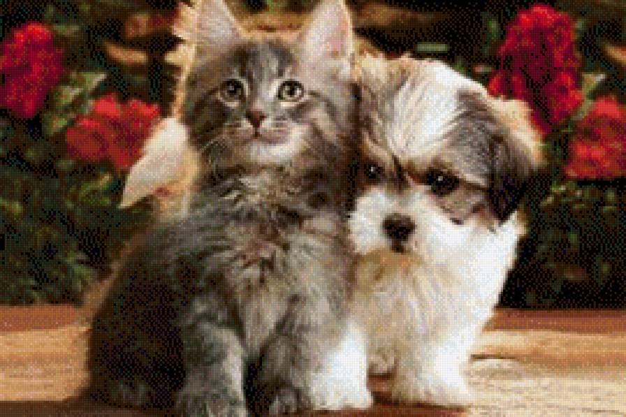 милашки - животные, кошки, собаки - предпросмотр