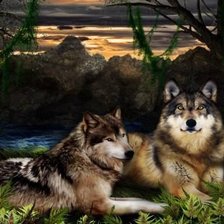 Схема вышивки «Волки»