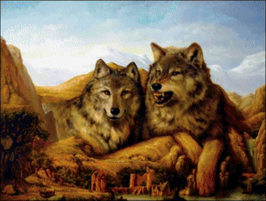 Волки - животные, волк - предпросмотр