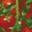 Предпросмотр схемы вышивки «Томатики.» (№608306)