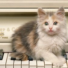 Схема вышивки «Музыкант»