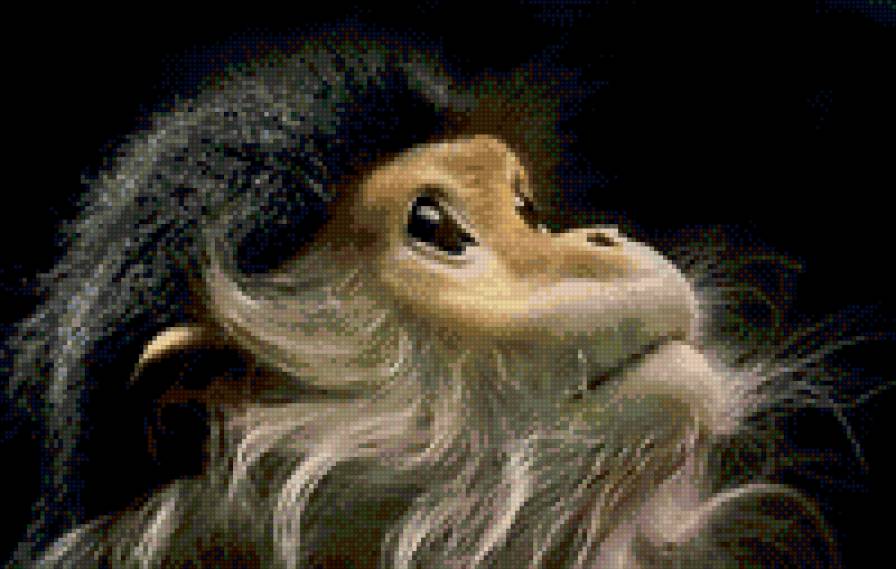 обезьянка - забавные животные, животные - предпросмотр