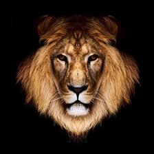 Схема вышивки «Лев»