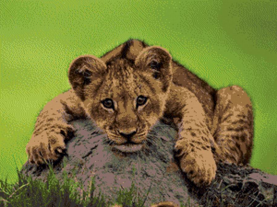 левеня - предпросмотр