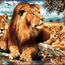 Схема вышивки «леви»