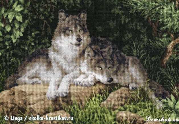 вовки - оригинал