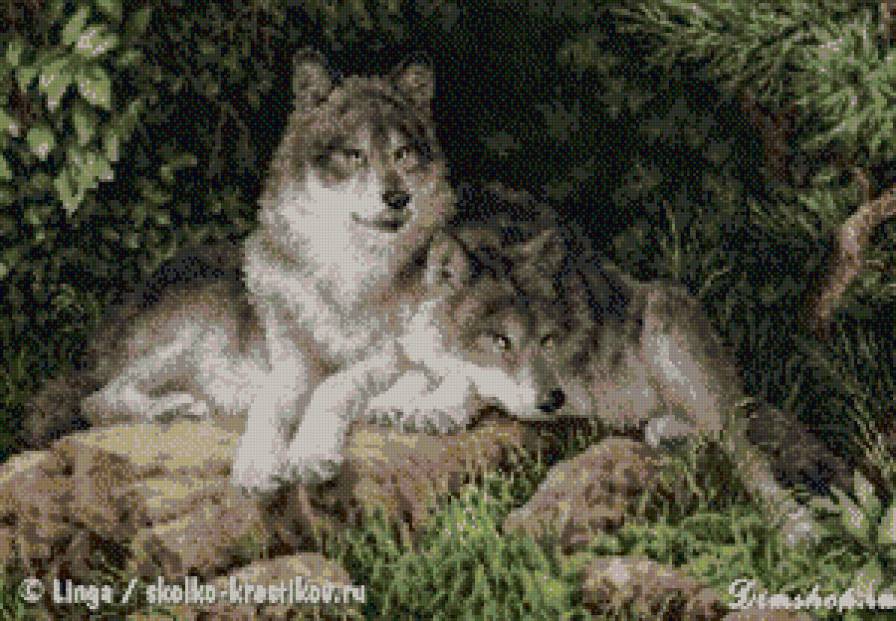 вовки - предпросмотр