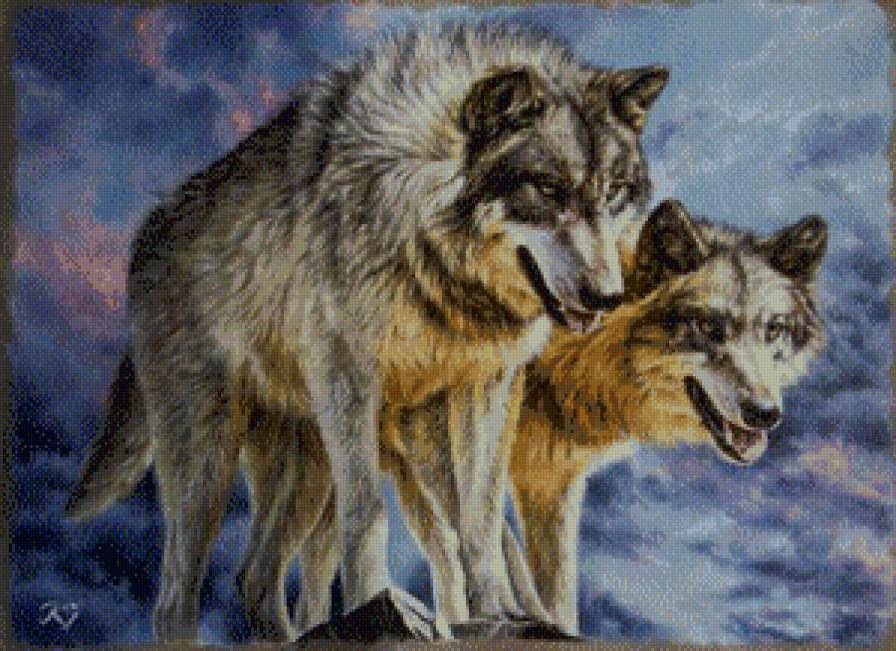 Волки - волк, животные - предпросмотр