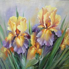 Схема вышивки «жетые ирисы»