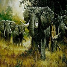 Схема вышивки «слоны в зелени»