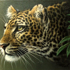 Схема вышивки «ягуар»