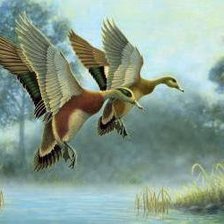 Схема вышивки «две утки»