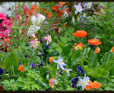 Схема вышивки «№608741»