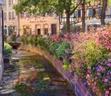 Схема вышивки «№608808»