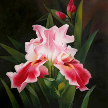 Схема вышивки «№609003»