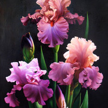 Схема вышивки «№609006»