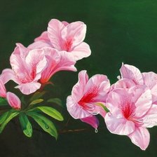 Схема вышивки «№609011»