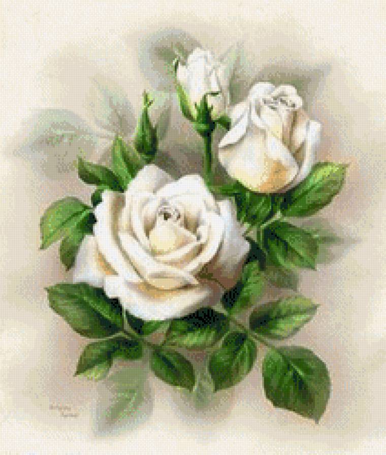 №609032 - розы, цветы - предпросмотр