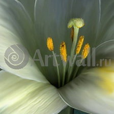 Схема вышивки «Триптих Лилия 2»