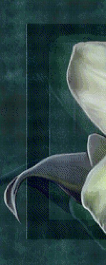 триптих Лилия 1 - лилия, триптих, цветы - предпросмотр